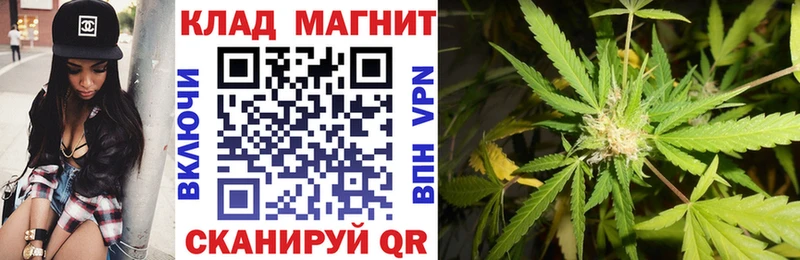 Виды наркотиков купить Юхнов КОКАИН  ГЕРОИН  МАРИХУАНА  Псилоцибиновые грибы  ГАШИШ  АМФ 