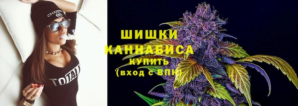 МДПВ Нея