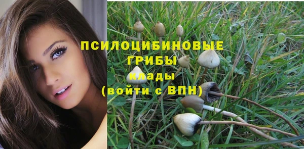 apvp Нефтегорск