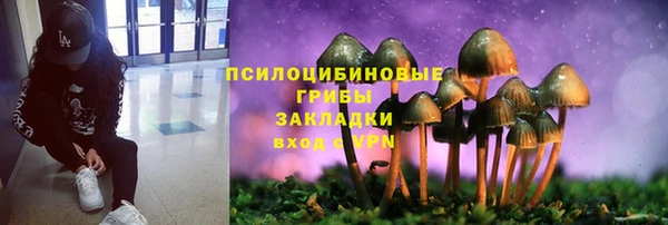 apvp Нефтегорск