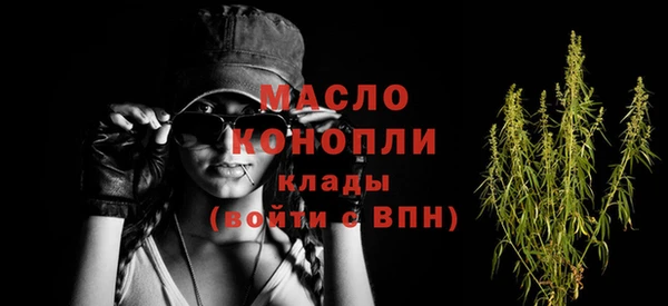МДПВ Нея