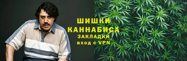 МДПВ Нея