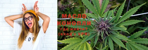 МДПВ Нея