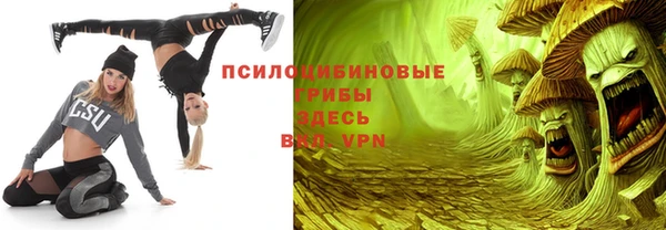 МДПВ Нея